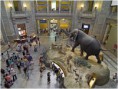 /album/fotogaleria/museo-de-historia-natural-londres-jpg1/